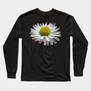 wonderful daisy flower, nature, daisies, Long Sleeve T-Shirt